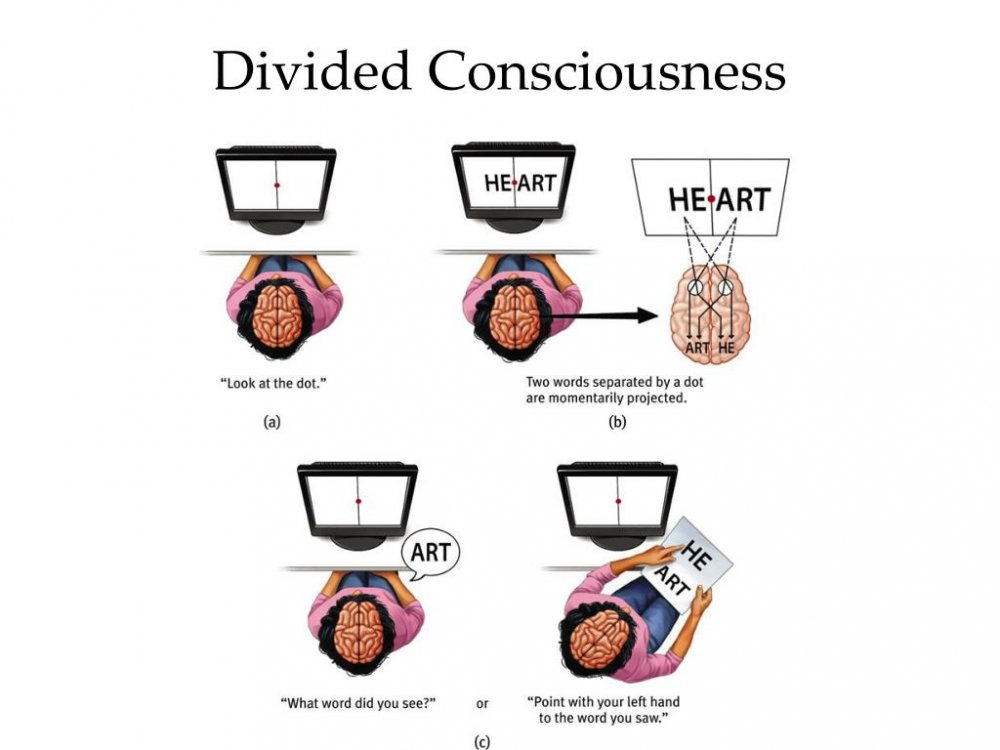 divided-consciousness-l.thumb.jpg.99d77ee046273fd0ad5b08a55e771b20.jpg